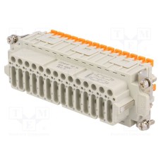 CDSHF 42 N CDSHF 42 N