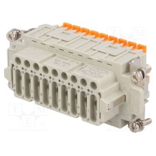 CDSHF 27 N CDSHF 27 N