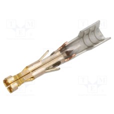 172063-0311 172063-0311