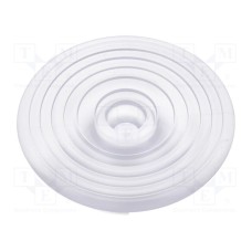 C15802_MOLLY-W C15802_MOLLY-W