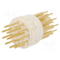 09151172603 09151172603