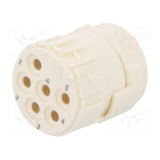 09151063101 09151063101