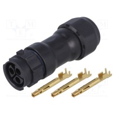 CC-03BMFA-QL8LPP CC-03BMFA-QL8LPP