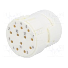 09151123101 09151123101