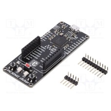 PIC32MZ CLICKER