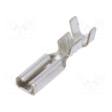 1670.08.01.3P 1670.08.01.3P