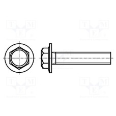 B6X12/BN5951 B6X12/BN5951