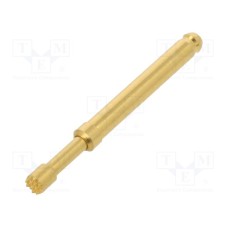 TK36N.07.2,50.S.170.A TK36N.07.2,50.S.170.A