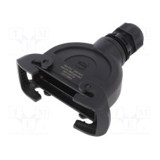 19431240738 19431240738