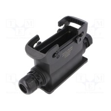 19431240272 19431240272