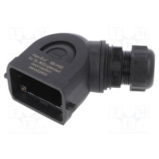 19431060547 19431060547