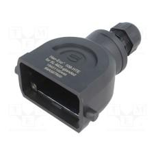 19431100446 19431100446