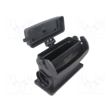 19431240256 19431240256