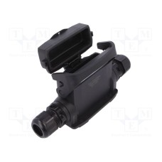 19461160293 19461160293