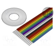 3811/16 (100FT) 3811/16 (100FT)