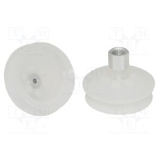 FSGA-63-SI-55-G1/4-IG