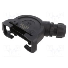 19431240538 19431240538