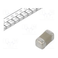 0402B101K500CT 0402B101K500CT