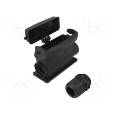 19431240258 19431240258