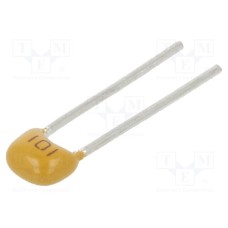 CT40805N101J500F1R CT40805N101J500F1R