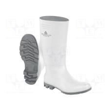 PHYHCOBBC44 PHYHCOBBC44