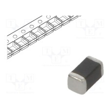 B72500E2170K060 B72500E2170K060