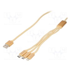 CC-USB2-AM31-1M-G