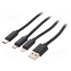 CC-USB2-AM31-1M
