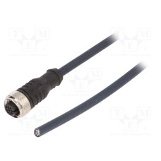 CF.INI-P5-M12-BG-10