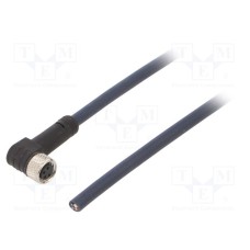 CF.INI-P4-M8-BW-10