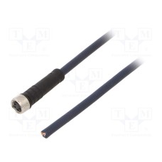CF.INI-P4-M8-BG-10