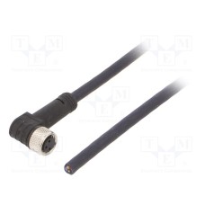 CF.INI-P3-M8-BW-5