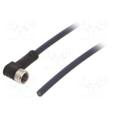 CF.INI-P3-M8-BW-3