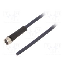 CF.INI-P3-M8-BG-10