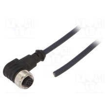 CF.INI-P4-M12-BW-3