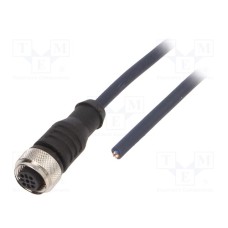 CF.INI-P4-M12-BG-10