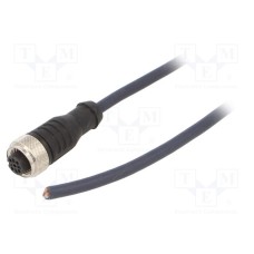 CF.INI-P4-M12-BG-5