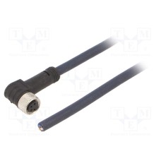CF.INI-P4-M8-BW-3