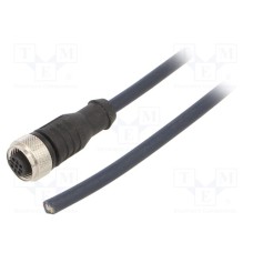 CF.INI-P5-M12-BG-3