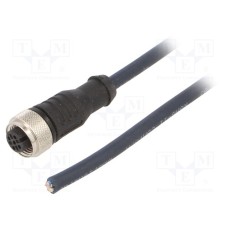 CF.INI-P5-M12-BG-5