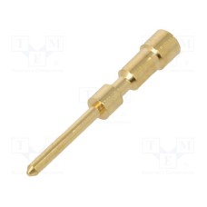 7010901031 7010901031