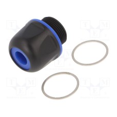 19155035196 19155035196