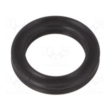 10-010.77X002.62  X-RING  FPM