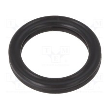 10-009.25X001.78  X-RING  FPM