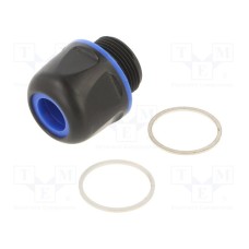 19155035197 19155035197