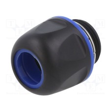 19155035199 19155035199