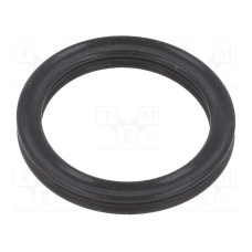 10-017.13X002.62  X-RING  FPM