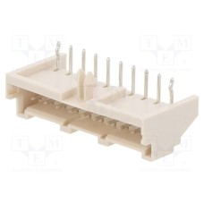 S10B-XASK-1 S10B-XASK-1