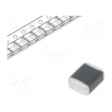 B72530G0250K062 B72530G0250K062